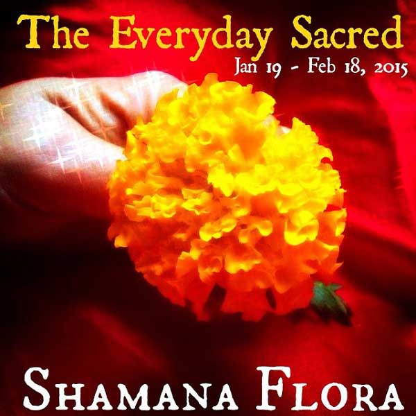 The Everyday Sacred - Shamana Flora